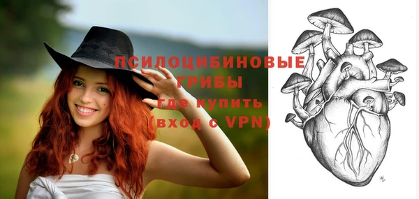 амф Вязники