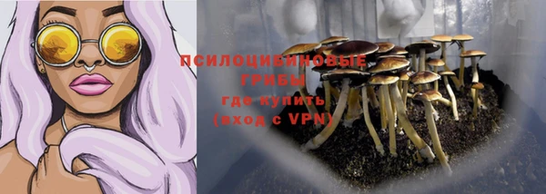 гидра Вязьма
