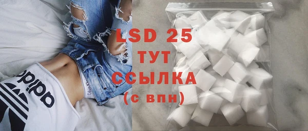 прущий лед Вяземский