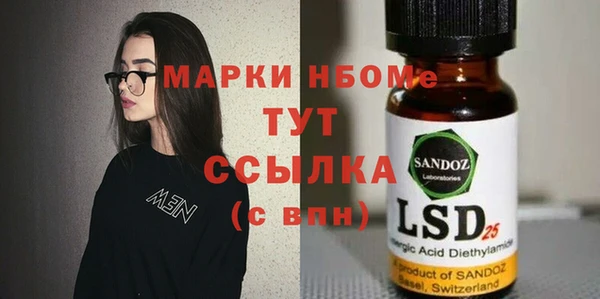 гидра Вязьма