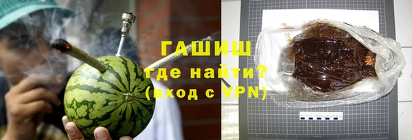 гидра Вязьма
