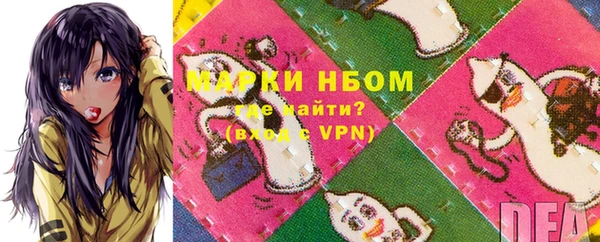 гидра Вязьма