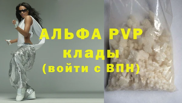 гидра Вязьма