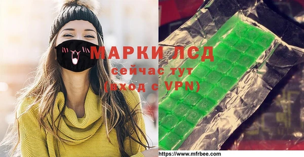 прущий лед Вяземский