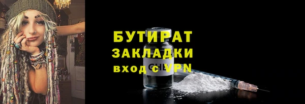 гидра Вязьма