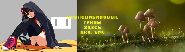 прущий лед Вяземский