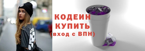 гидра Вязьма