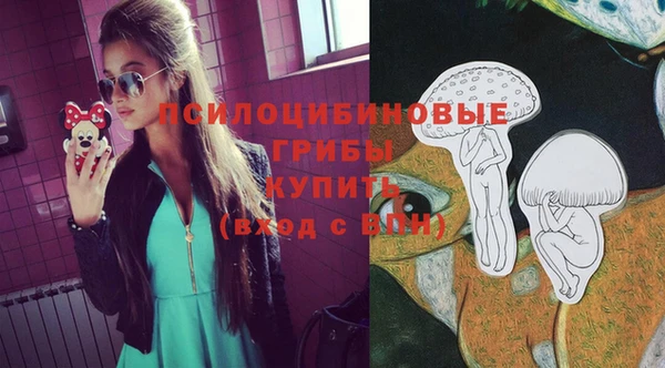 прущий лед Вяземский