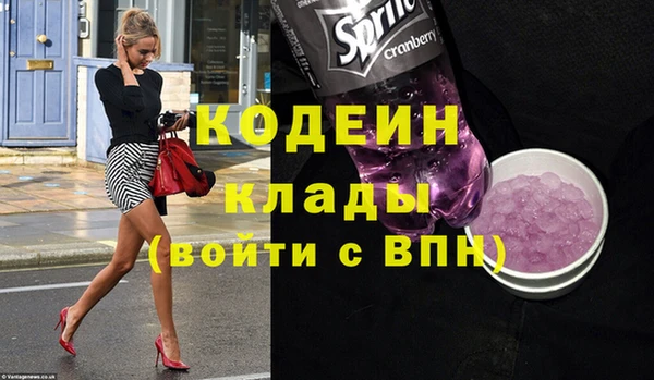 прущий лед Вяземский