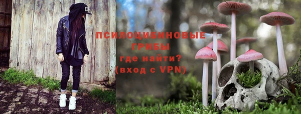 гидра Вязьма