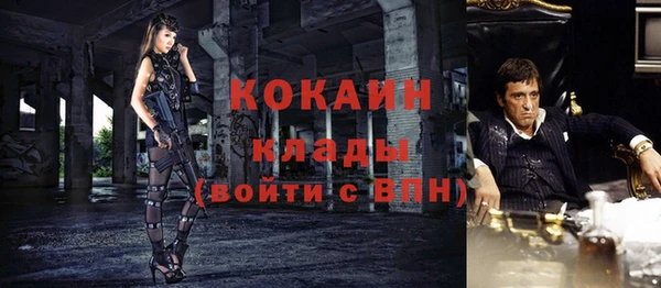 прущий лед Вяземский