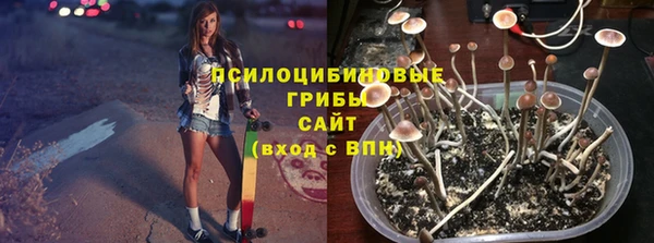 амф Вязники