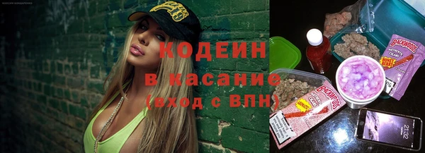 гидра Вязьма