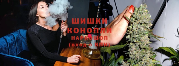 гидра Вязьма