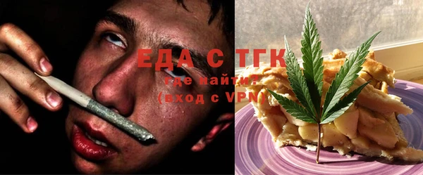 гидра Вязьма