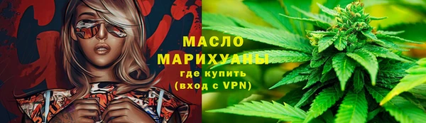 гидра Вязьма
