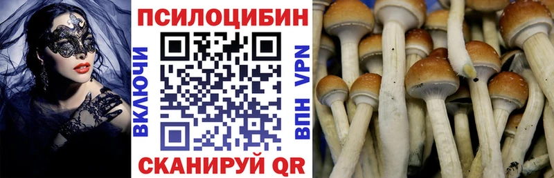 Галлюциногенные грибы GOLDEN TEACHER  купить  сайты  блэк спрут ссылки  Балаково 